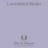 Lavender Bush