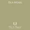 Sea Moss