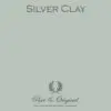Silver Clay