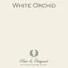 White Orchid